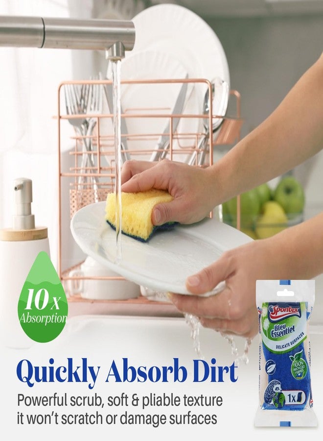 سبونتكس ليفة تنظيف سبونتكس الزرقاء الأساسية المصنوعة من السليلوز (عبوة من 3 قطع) - صديقة للبيئة، متينة، تصميم مزدوج الجوانب للأسطح الحساسة، مصنوعة من ألياف معاد تدويرها بنسبة 100%، إسفنجة قابلة للتحلل الحيوي، ومقبض مريح - Image 5